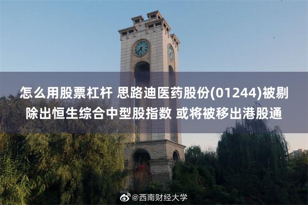 怎么用股票杠杆 思路迪医药股份(01244)被剔除出恒生综合中型股指数 或将被移出港股通