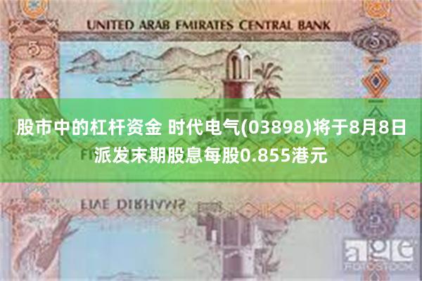 股市中的杠杆资金 时代电气(03898)将于8月8日派发末期股息每股0.855港元