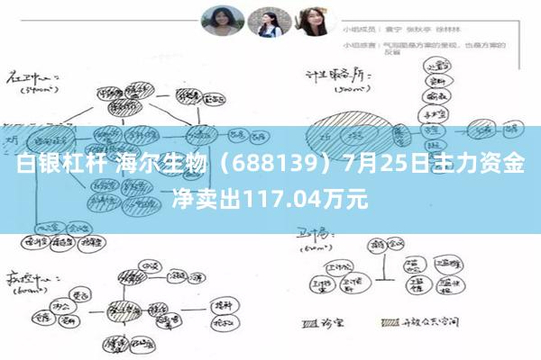 白银杠杆 海尔生物（688139）7月25日主力资金净卖出117.04万元