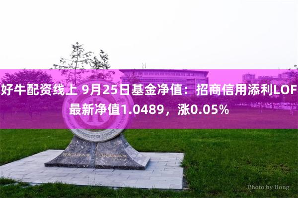 好牛配资线上 9月25日基金净值：招商信用添利LOF最新净值1.0489，涨0.05%