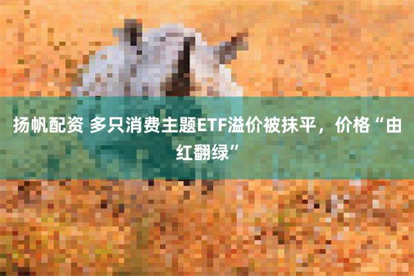 扬帆配资 多只消费主题ETF溢价被抹平，价格“由红翻绿”