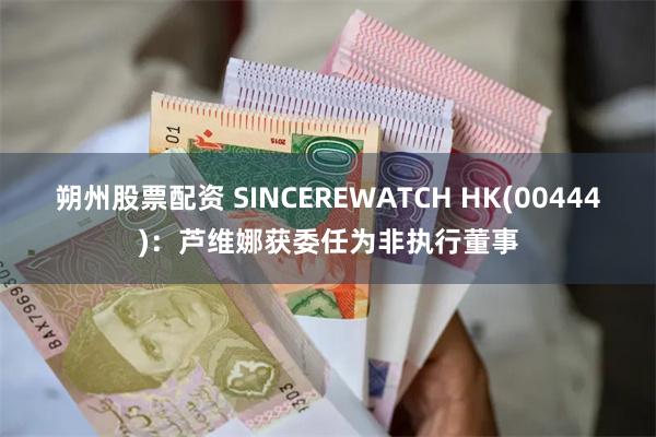 朔州股票配资 SINCEREWATCH HK(00444)：芦维娜获委任为非执行董事