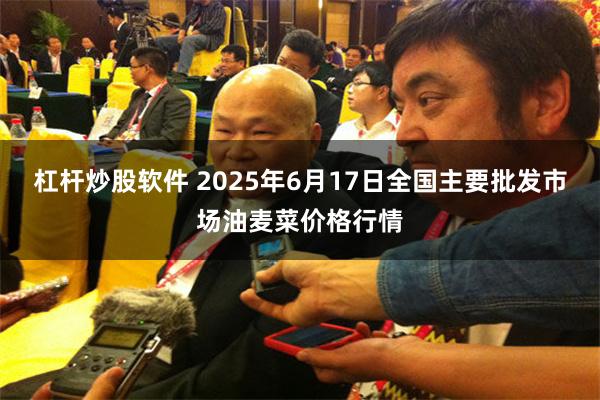 杠杆炒股软件 2025年6月17日全国主要批发市场油麦菜价格行情
